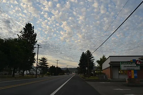 Quality Green Gram Lot 034