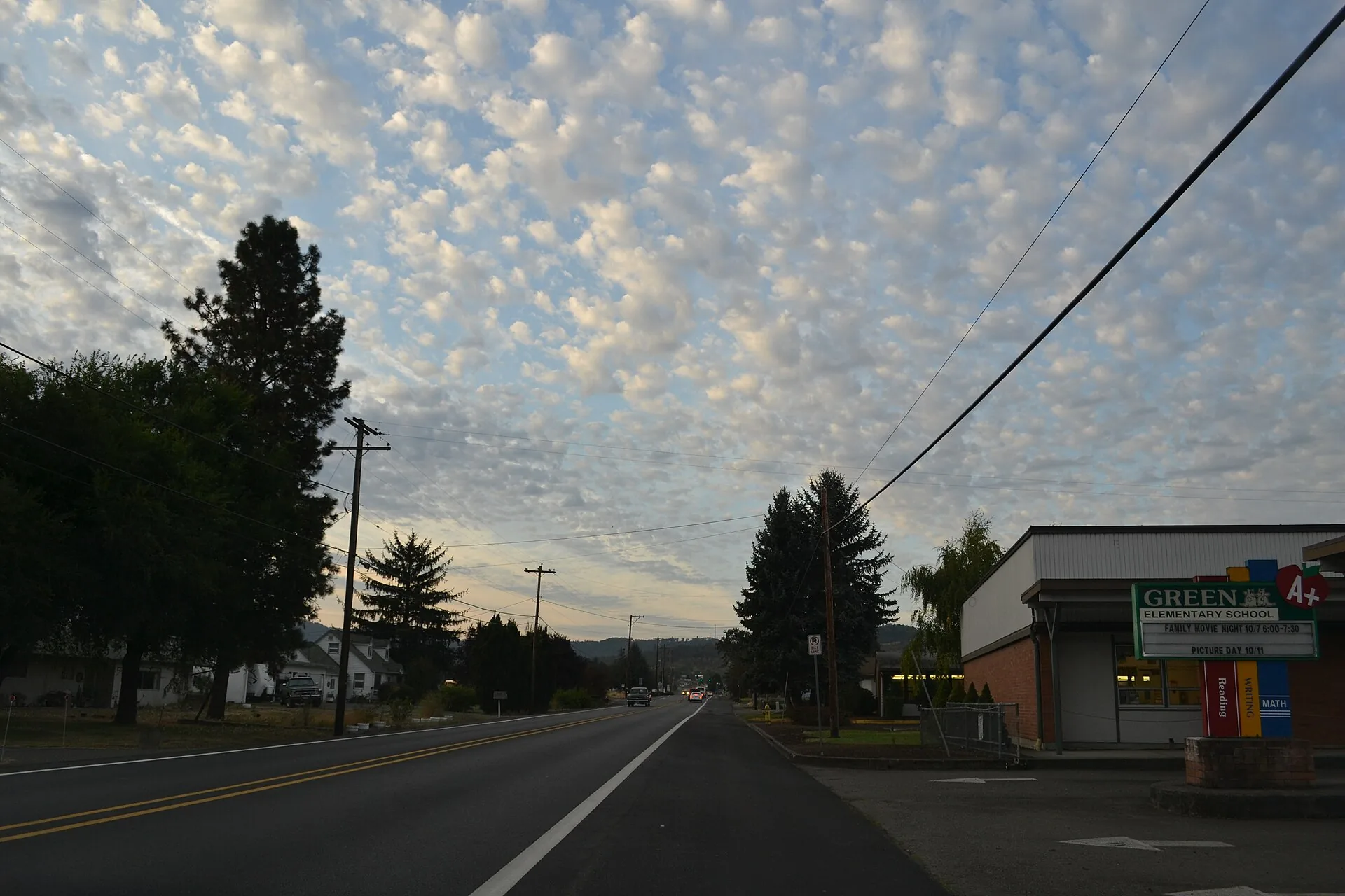 Bulk Green Gram Lot 052