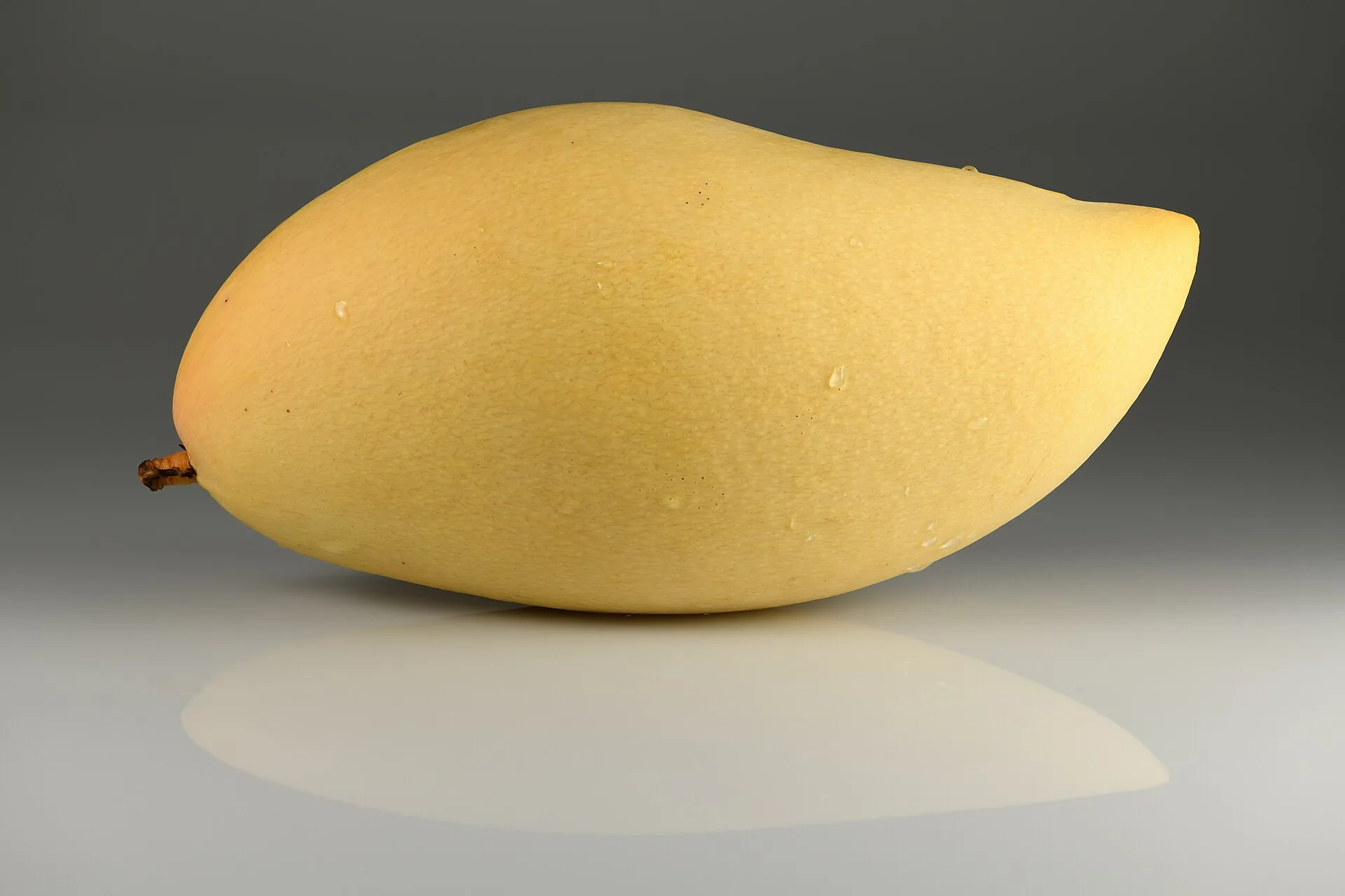 Harvest Mango Crate 066