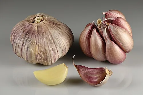 Agri Garlic Pack 076